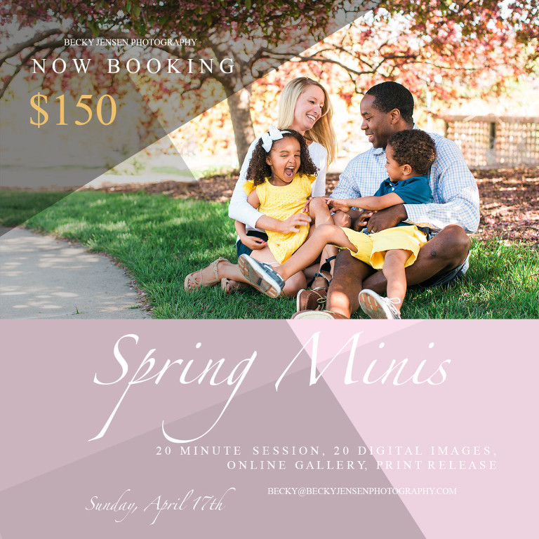 springminisessions